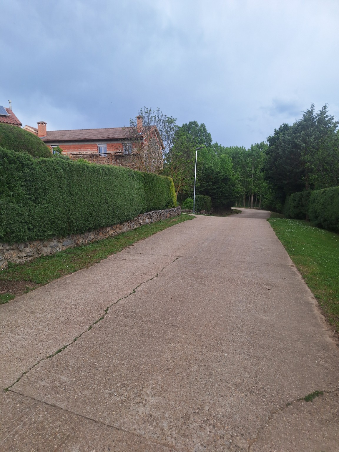 Calle pavimentada y alumbrado público entre las viviendas y jardines del pueblo.